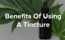 Tincture Benefits