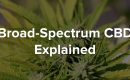 broad spectrum cbd explained