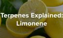 Limonene Terpene Blog