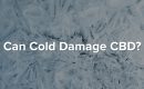 Cold Damage CBD Blog