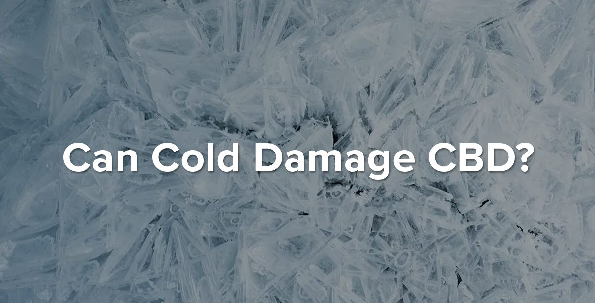 Cold Damage CBD Blog